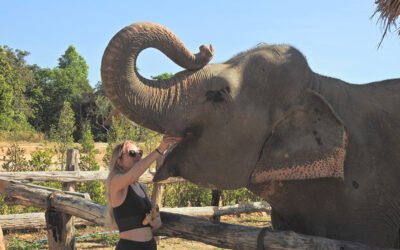 Siem Reap Remote Tour